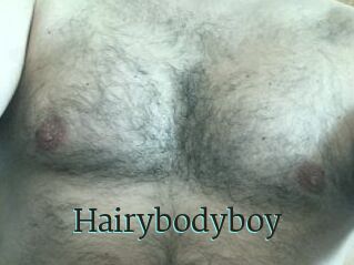 Hairybodyboy