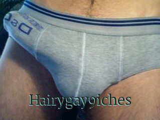 Hairygay9iches