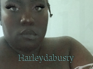 Harleydabusty