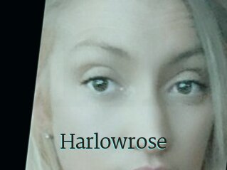 Harlowrose