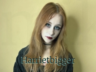 Harrietbigger