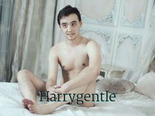 Harrygentle