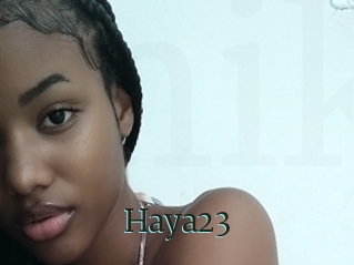 Haya23