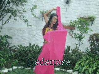 Hederrose