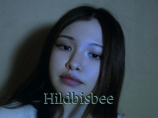 Hildbisbee