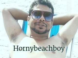 Hornybeachboy