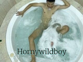 Hornywildboy