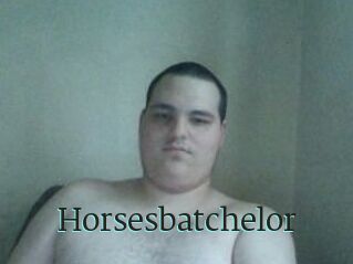 Horsesbatchelor