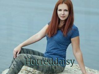 Hotreddaisy