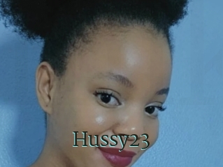 Hussy23