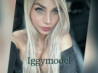 Iggymodel