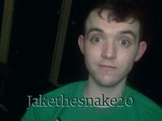 Jakethesnake20