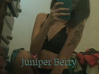 Juniper_Berry