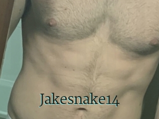 Jakesnake14