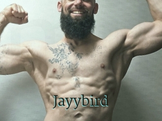 Jayybird