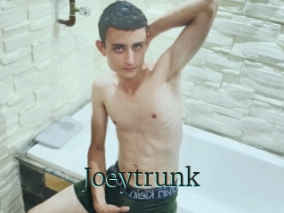 Joeytrunk