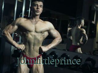 Johnlittleprince