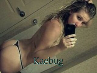 Kaebug