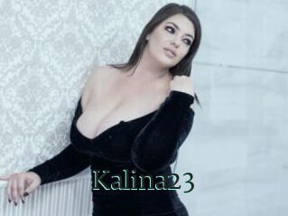 Kalina23