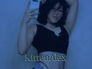 KittenAlex