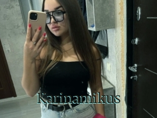 Karinamikus