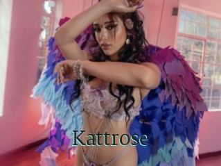 Kattrose