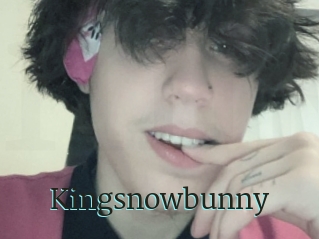 Kingsnowbunny