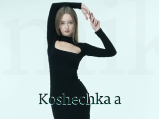 Koshechka_a