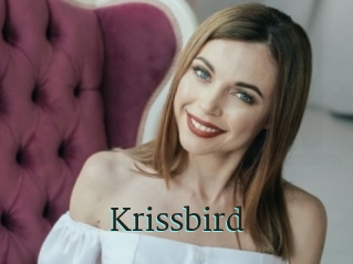 Krissbird