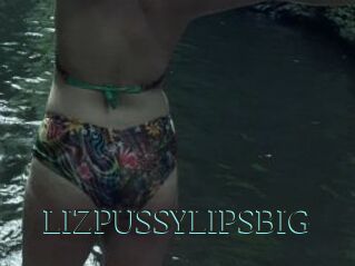 LIZPUSSYLIPSBIG