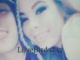 LoveBirds247