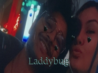 Laddybug