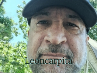 Leoncarpita