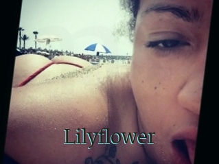 Lilyflower