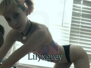 Lilyxgrey