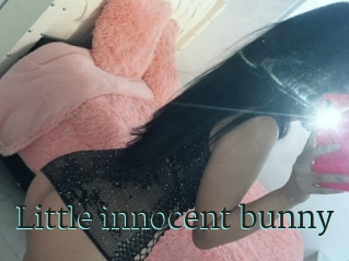 Little_innocent_bunny