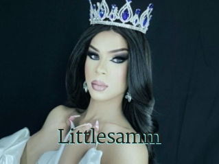 Littlesamm