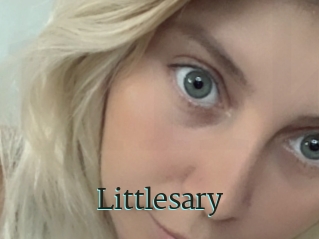 Littlesary