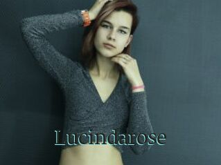 Lucindarose