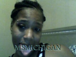 MSMICHIGAN