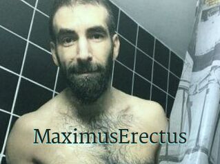 MaximusErectus