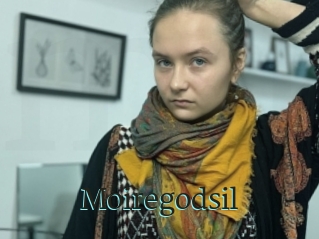 Moiregodsil