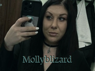 Mollyblizard