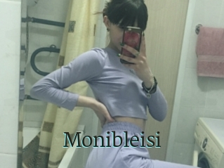 Monibleisi