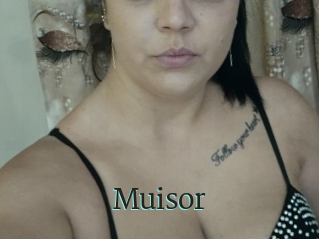 Muisor