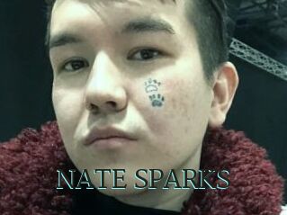 NATE_SPARKS