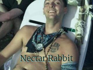 Nectar_Rabbit