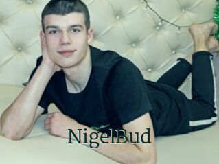 NigelBud