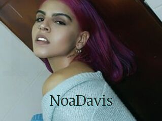 NoaDavis