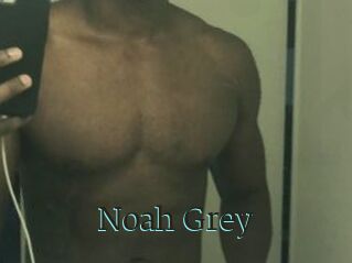 Noah_Grey